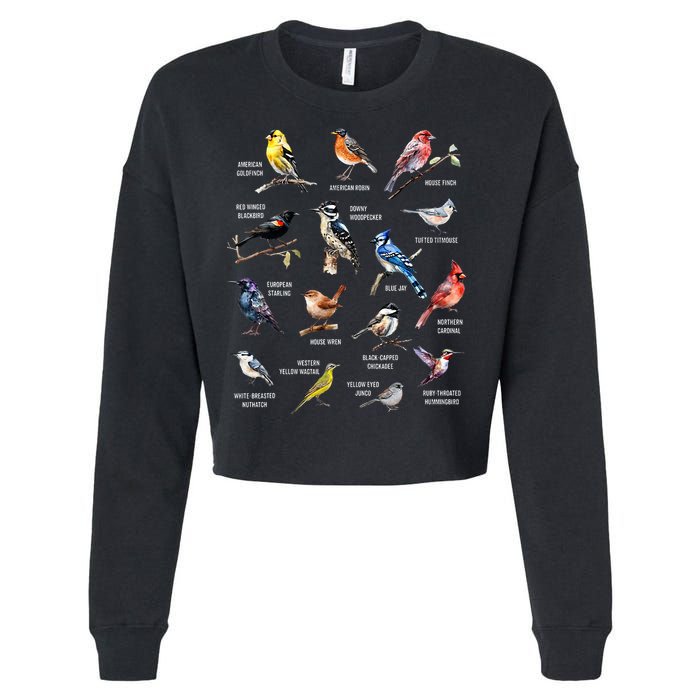 Bird Watching Bird Watcher Bird Lover Birder Birding Nerd Cropped Pullover Crew