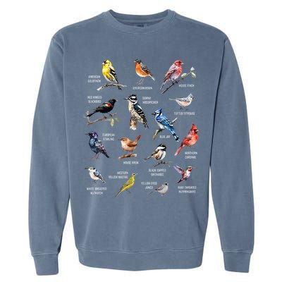Bird Watching Bird Watcher Bird Lover Birder Birding Nerd Garment-Dyed Sweatshirt