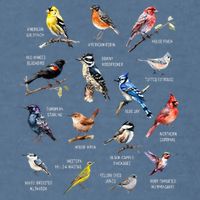 Bird Watching Bird Watcher Bird Lover Birder Birding Nerd Garment-Dyed Sweatshirt