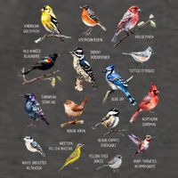Bird Watching Bird Watcher Bird Lover Birder Birding Nerd Vector Backpack
