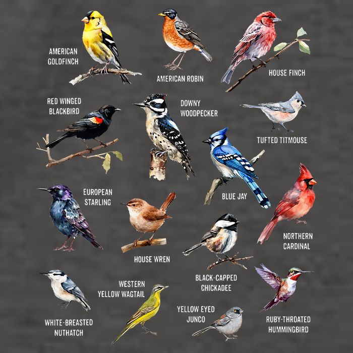 Bird Watching Bird Watcher Bird Lover Birder Birding Nerd Vector Backpack