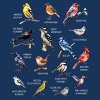 Bird Watching Bird Watcher Bird Lover Birder Birding Nerd Infant Baby Jersey Bodysuit