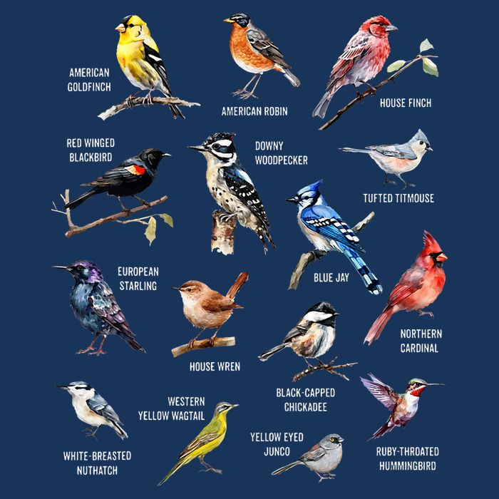 Bird Watching Bird Watcher Bird Lover Birder Birding Nerd Infant Baby Jersey Bodysuit