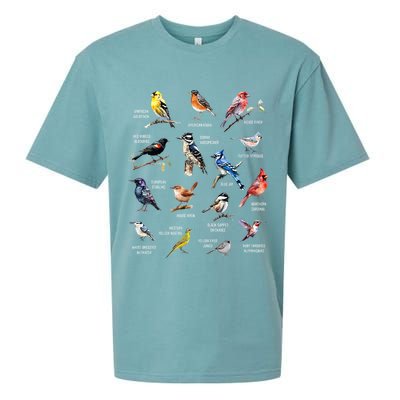 Bird Watching Bird Watcher Bird Lover Birder Birding Nerd Sueded Cloud Jersey T-Shirt