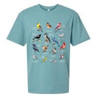 Bird Watching Bird Watcher Bird Lover Birder Birding Nerd Sueded Cloud Jersey T-Shirt