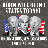 Biden Will Be In 3 States Today Funny Joe Biden Anti Biden Cotton Canvas Backpack