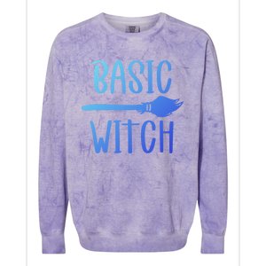 Basic Witch Broomstick Cool Gift Colorblast Crewneck Sweatshirt