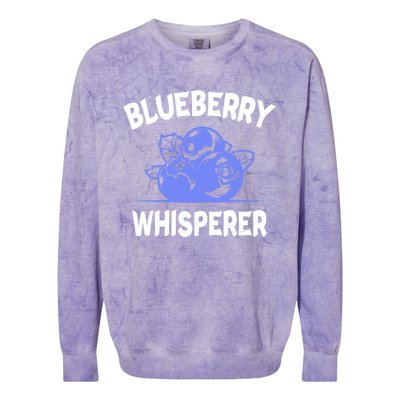 Blueberry Whisperer Blueberry Fruit Funny Blueberry Lover Cute Gift Colorblast Crewneck Sweatshirt