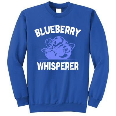 Blueberry Whisperer Blueberry Fruit Funny Blueberry Lover Cute Gift Sweatshirt