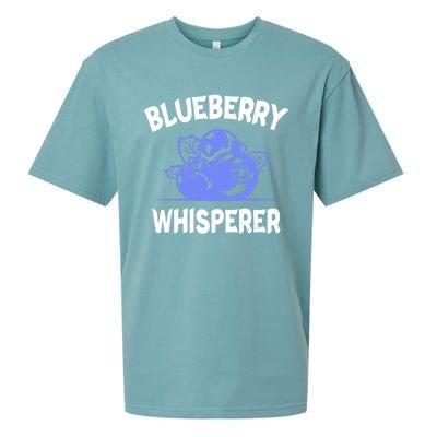 Blueberry Whisperer Blueberry Fruit Funny Blueberry Lover Cute Gift Sueded Cloud Jersey T-Shirt