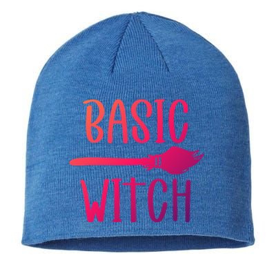 Basic Witch Broomstick Cool Gift Sustainable Beanie