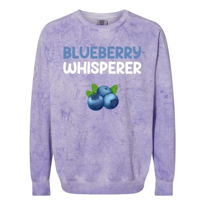 Blueberry Whisperer Blueberry Gift Colorblast Crewneck Sweatshirt