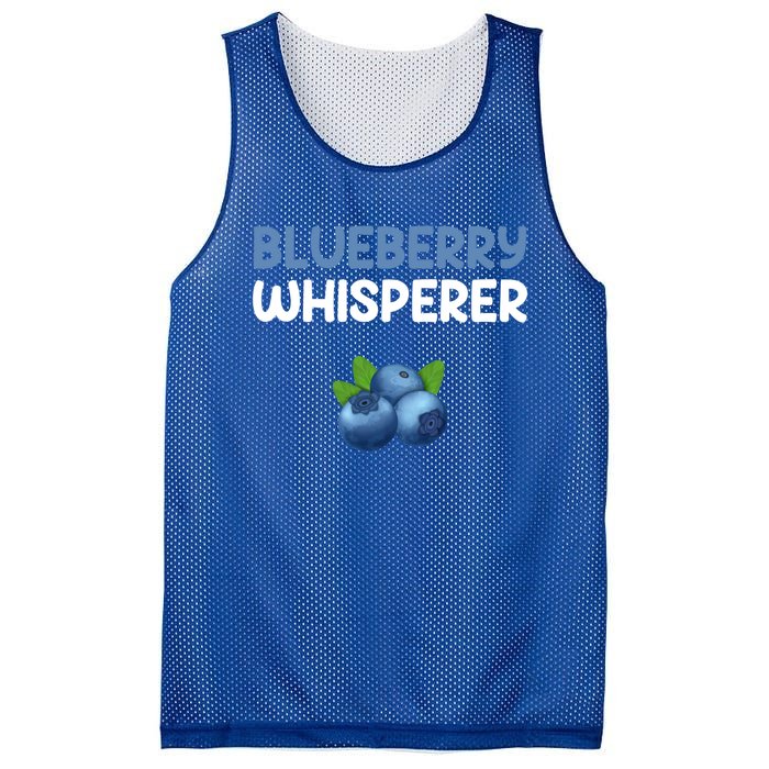 Blueberry Whisperer Blueberry Gift Mesh Reversible Basketball Jersey Tank