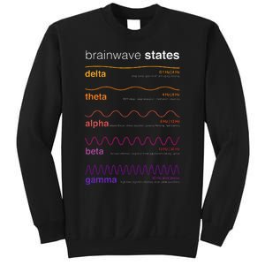 Brain Wave Beta Wave Alpha Wave Delta Neuroplasticity Sweatshirt