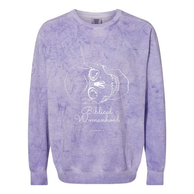 Biblical Womanhood Colorblast Crewneck Sweatshirt