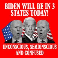 Biden Will Be In 3 States Today Funny Confused Joe Biden Flatbill Hat