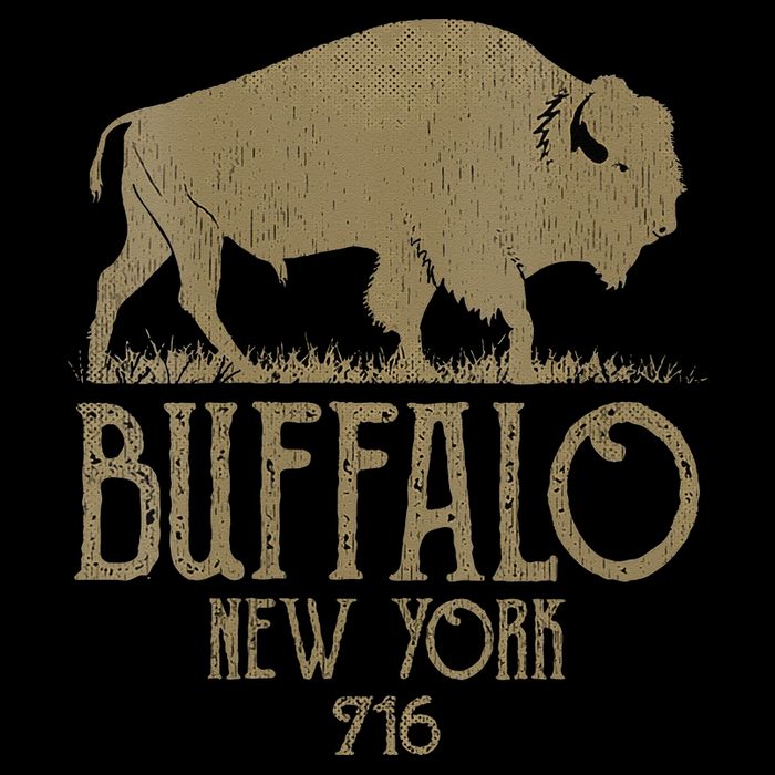 BFLO WNY Clothing Area Code 716 Buffalo New York Wool Snapback Cap