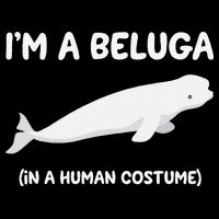 Beluga Whale Costume I'm A Beluga In A Human Costume Funny 16 in Basic Backpack