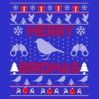 Bird Watching Christmas Birding Merry Birdmas Ugly Sweater Gift Sweatshirt