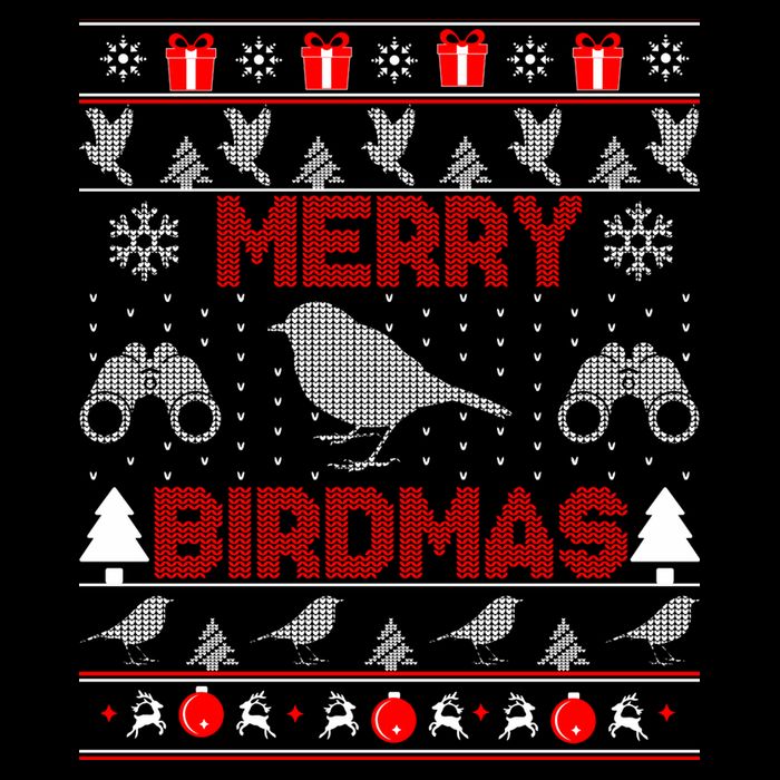 Bird Watching Christmas Birding Merry Birdmas Ugly Sweater 16 in Basic Backpack