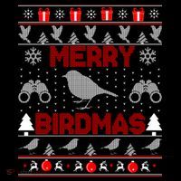 Bird Watching Christmas Birding Merry Birdmas Ugly Sweater Women's V-Neck T-Shirt