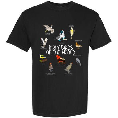 Bird Watching Dirty Birds Of The World Funny Birding Garment-Dyed Heavyweight T-Shirt