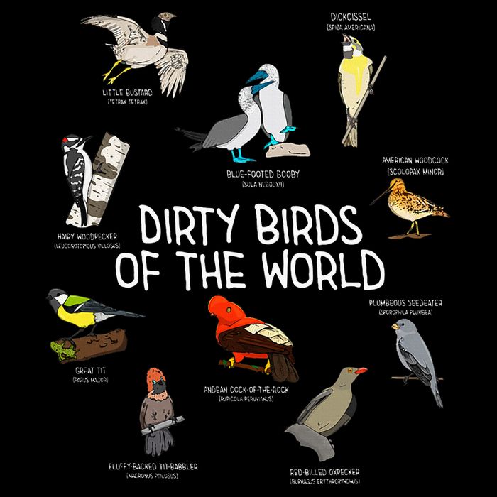 Bird Watching Dirty Birds Of The World Funny Birding Impact Tech Backpack