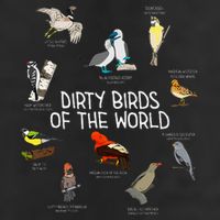 Bird Watching Dirty Birds Of The World Funny Birding Adult Drive Performance Visor