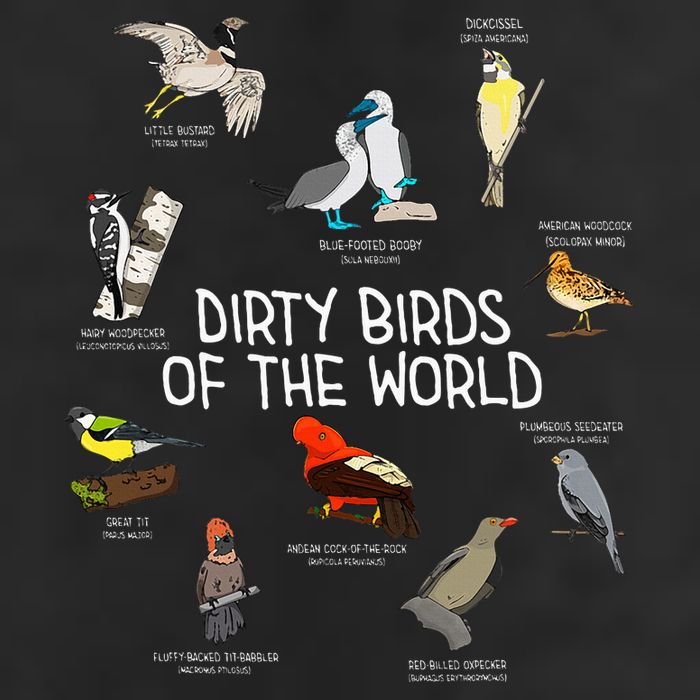 Bird Watching Dirty Birds Of The World Funny Birding Adult Drive Performance Visor