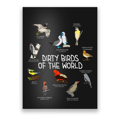 Bird Watching Dirty Birds Of The World Funny Birding Poster