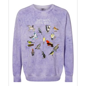 Bird Watching Dirty Birds Of The World Colorblast Crewneck Sweatshirt