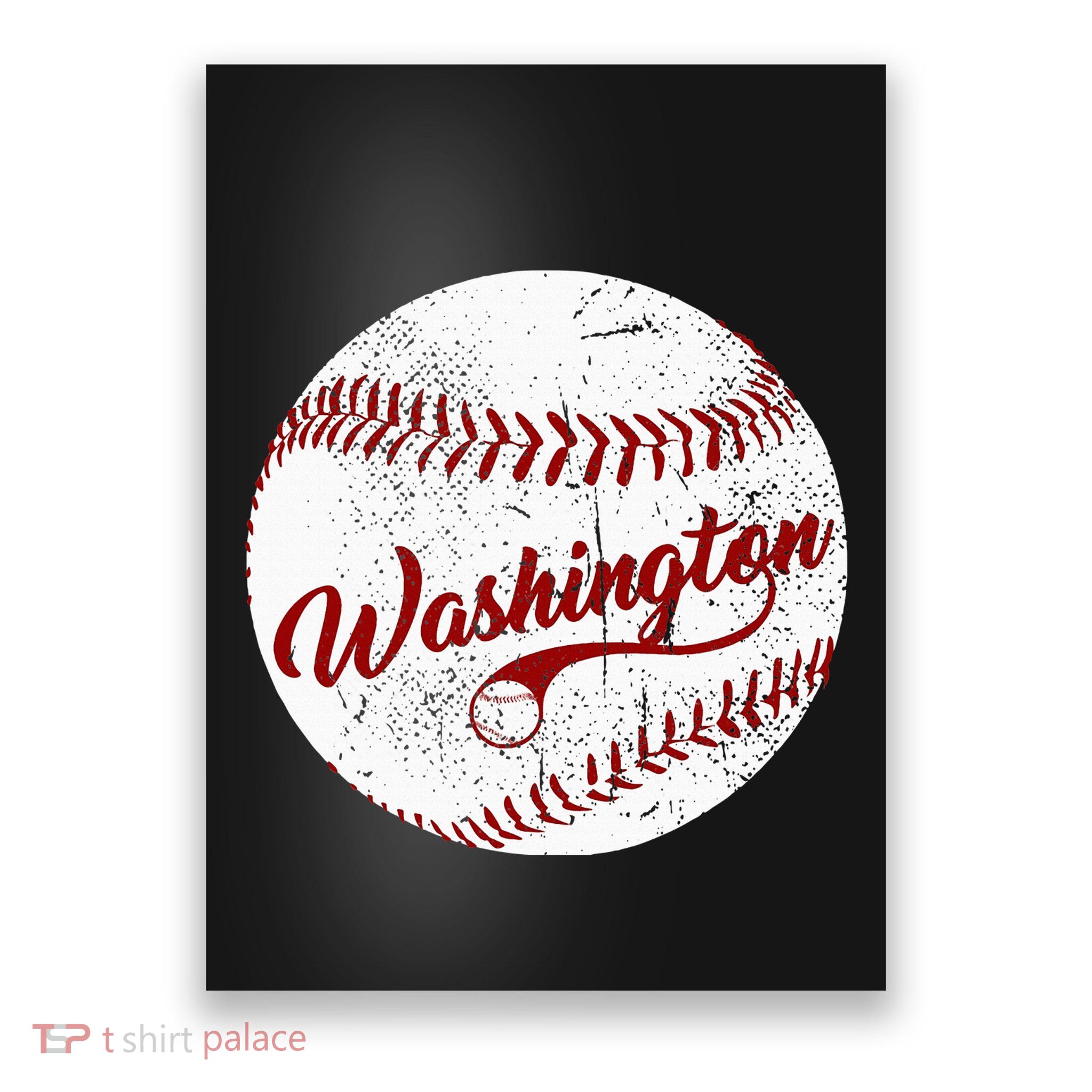 Baseball Washington Dc Team Love Baseball National Pastime Poster