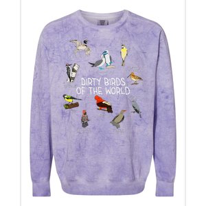 Bird Watching Dirty Birds Of The World Funny Birding Colorblast Crewneck Sweatshirt