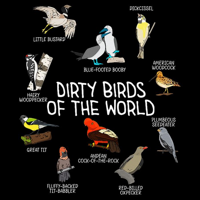 Bird Watching Dirty Birds Of The World Funny Birding USA-Made Doggie Bandana
