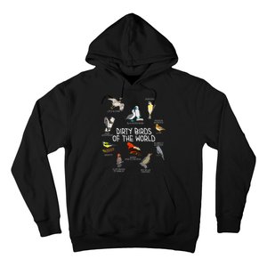 Bird Watching Dirty Birds Of The World Funny Birding Hoodie