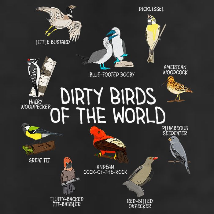 Bird Watching Dirty Birds Of The World Funny Birding Adult Drive Performance Visor
