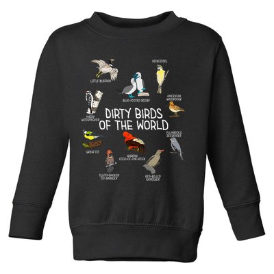 Bird Watching Dirty Birds Of The World Funny Birding Toddler Sweatshirt