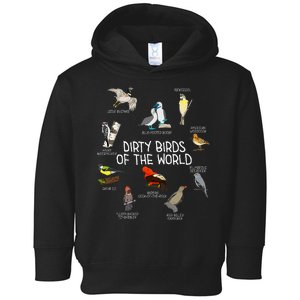 Bird Watching Dirty Birds Of The World Funny Birding Toddler Hoodie