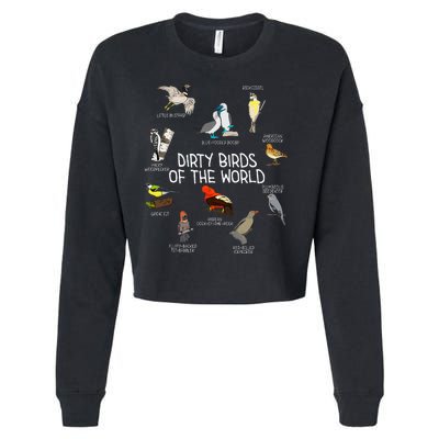 Bird Watching Dirty Birds Of The World Funny Birding Cropped Pullover Crew