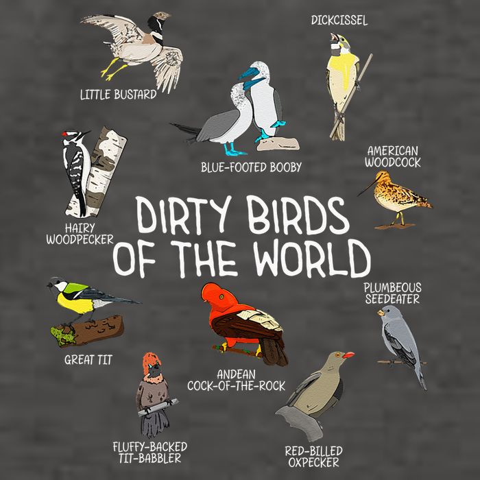 Bird Watching Dirty Birds Of The World Funny Birding Vector Backpack