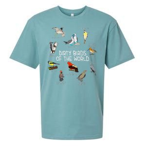 Bird Watching Dirty Birds Of The World Funny Birding Sueded Cloud Jersey T-Shirt