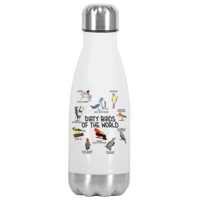 Bird Watching Dirty Birds Of The World Funny Birding Stainless Steel Insulated Water Bottle