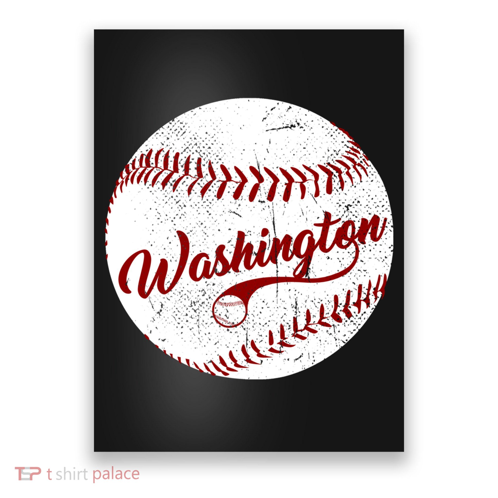 Baseball Washington Dc Team Love Baseball National Pastime Gift Poster