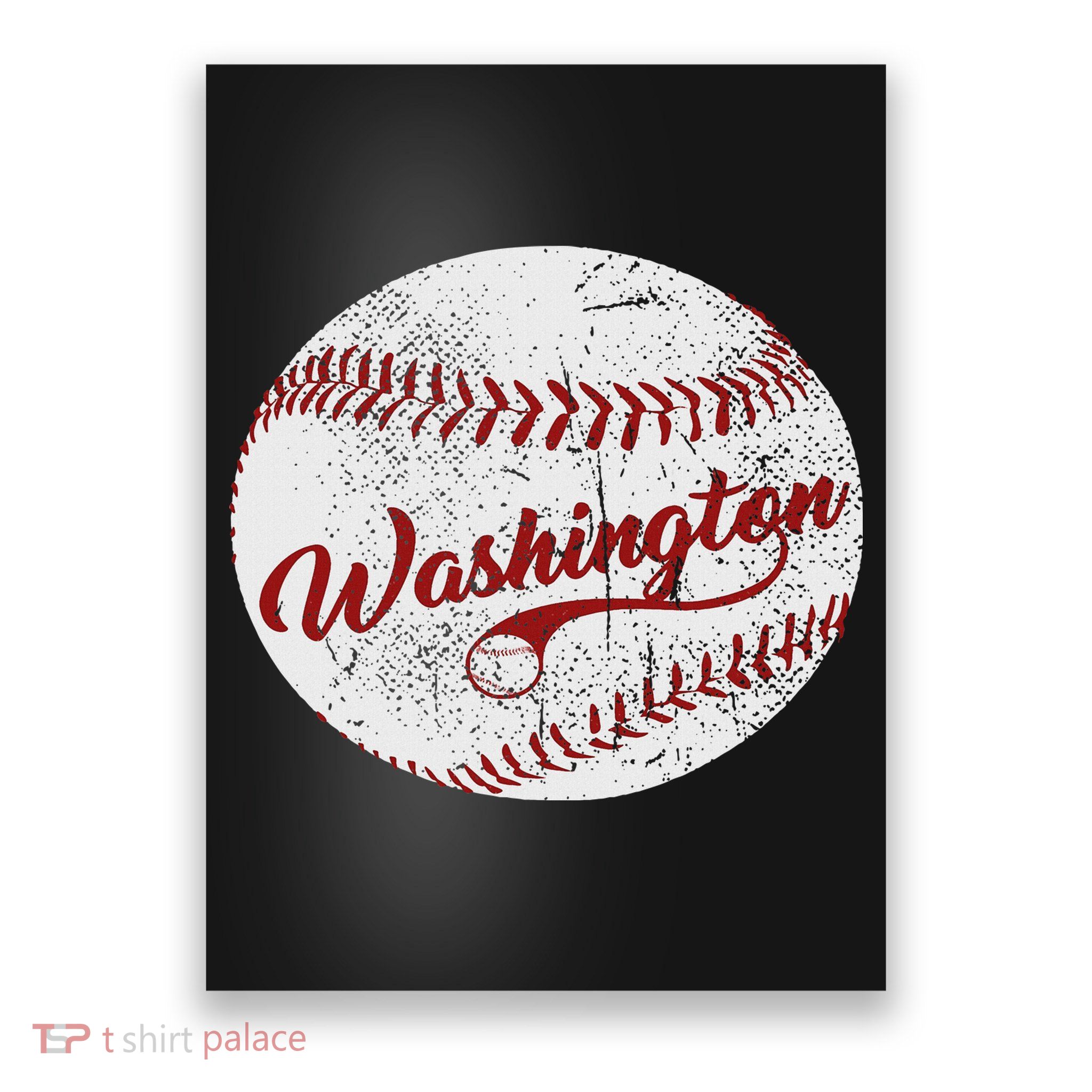 Baseball Washington Dc Team, Love Baseball National Pastime Poster