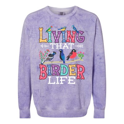 Bird Watching Funny Living That Birder Life For Bird Nerd Gift Colorblast Crewneck Sweatshirt