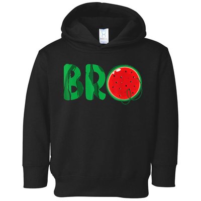 Bro Watermelon Funny Matching Family Summer Fruit Brother Toddler Hoodie