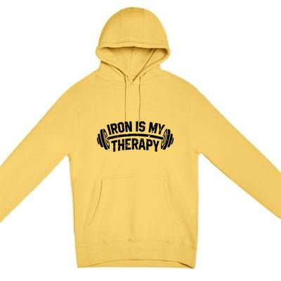 Bodybuilding Workout Funny Gift Iron Is My Therapy Gym Hoody Premium Pullover Hoodie