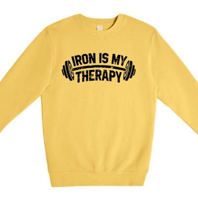 Bodybuilding Workout Funny Gift Iron Is My Therapy Gym Hoody Premium Crewneck Sweatshirt