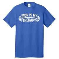 Bodybuilding Workout Funny Gift Iron Is My Therapy Gym Hoody Tall T-Shirt