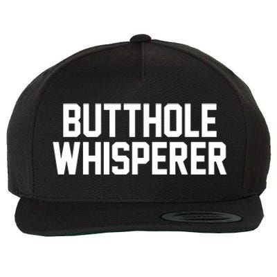 Butthole Whisperer Funny Sarcastic Joke Wool Snapback Cap